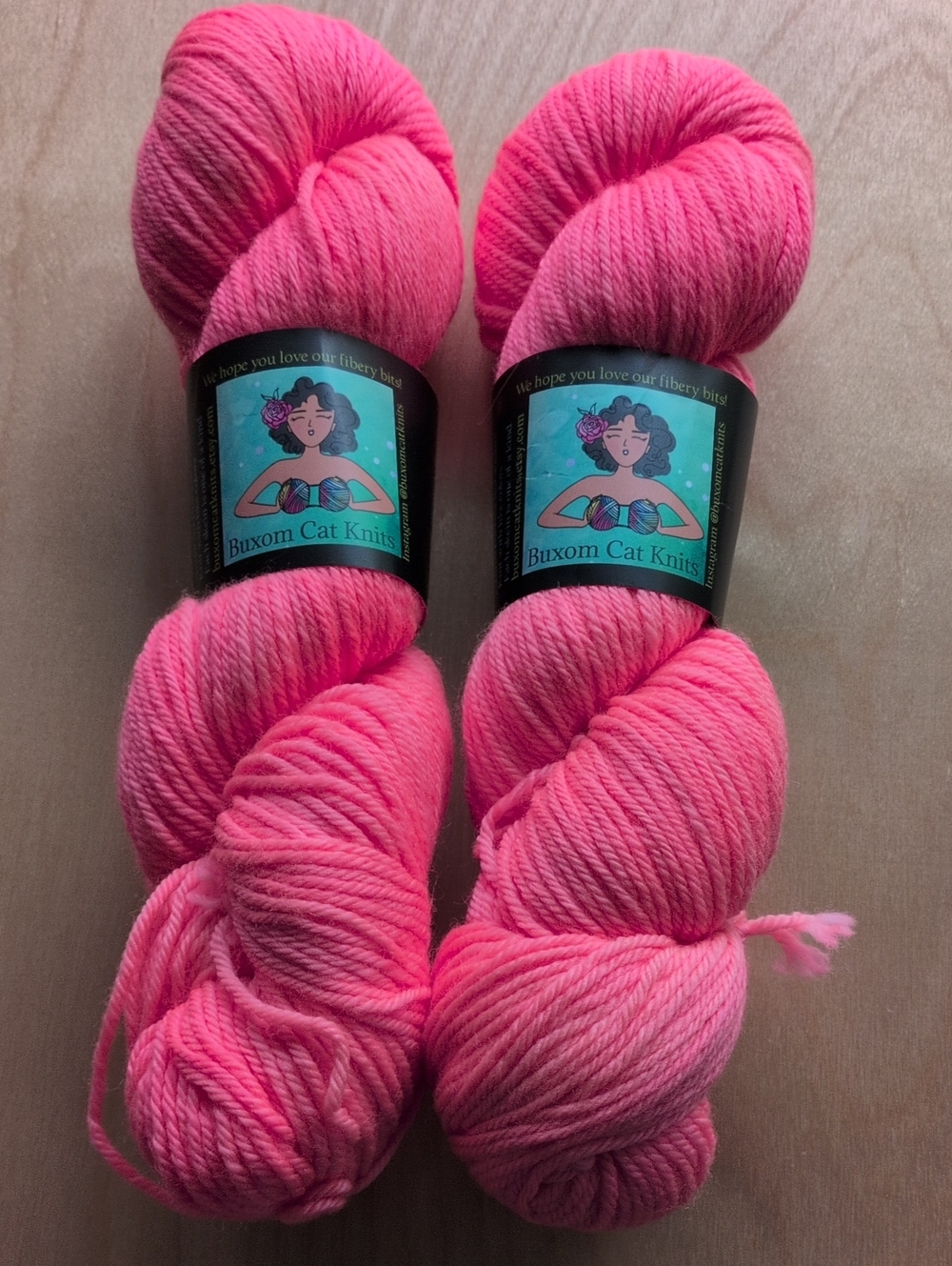 Buxom Cat Knits 2 skeins Hand-Dyed Yarn - Fluffy Worsted 2 Ply-Dana's Destash